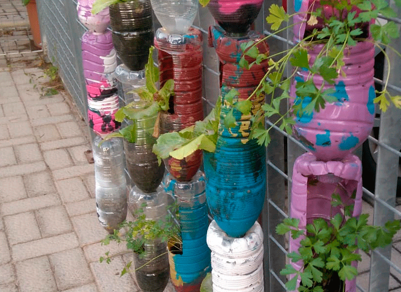 Huerto vertical embases reciclados
