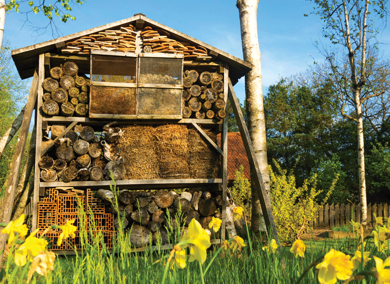 Hotel para insectos huertos de biodiversidad