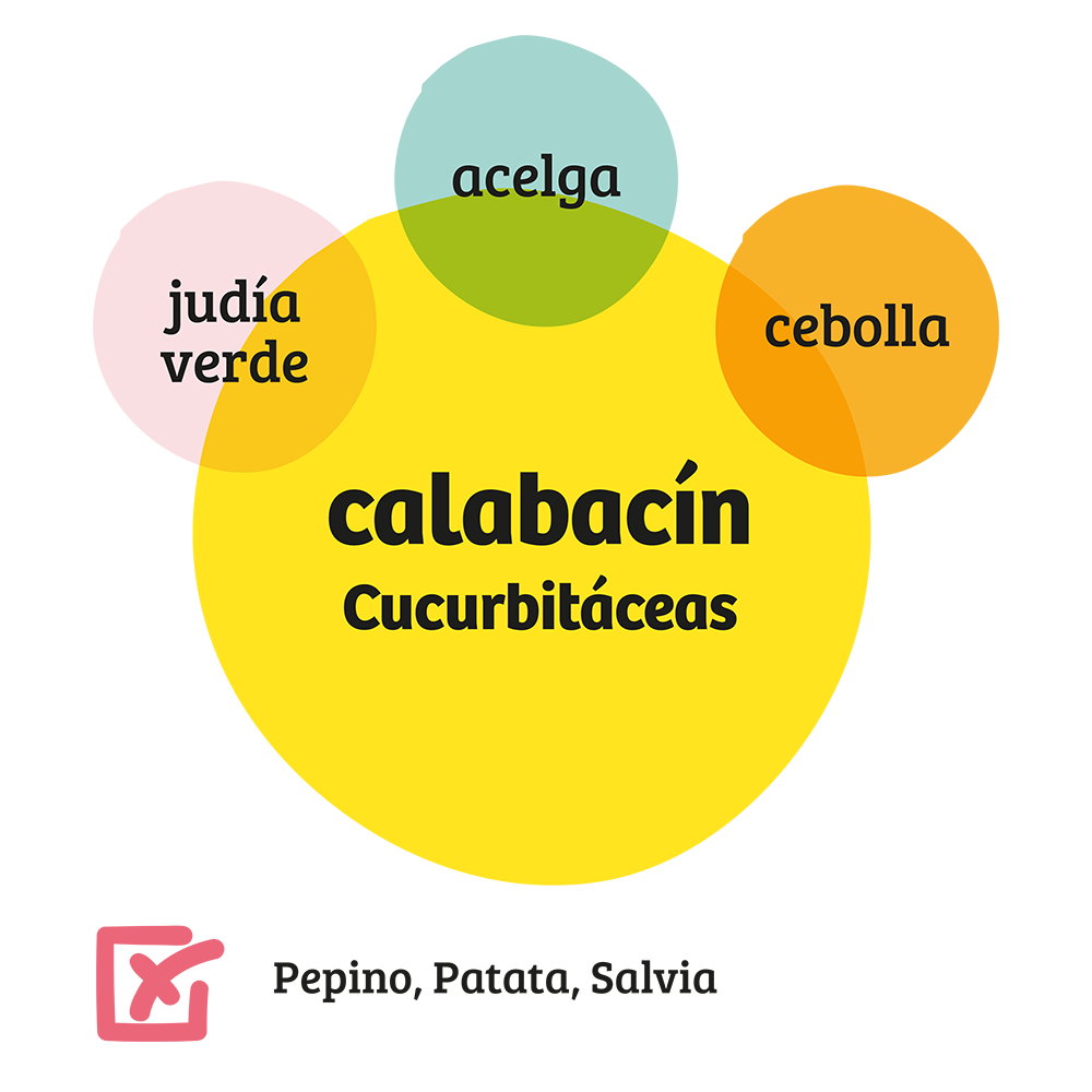 Familia de Cucurbitáceas