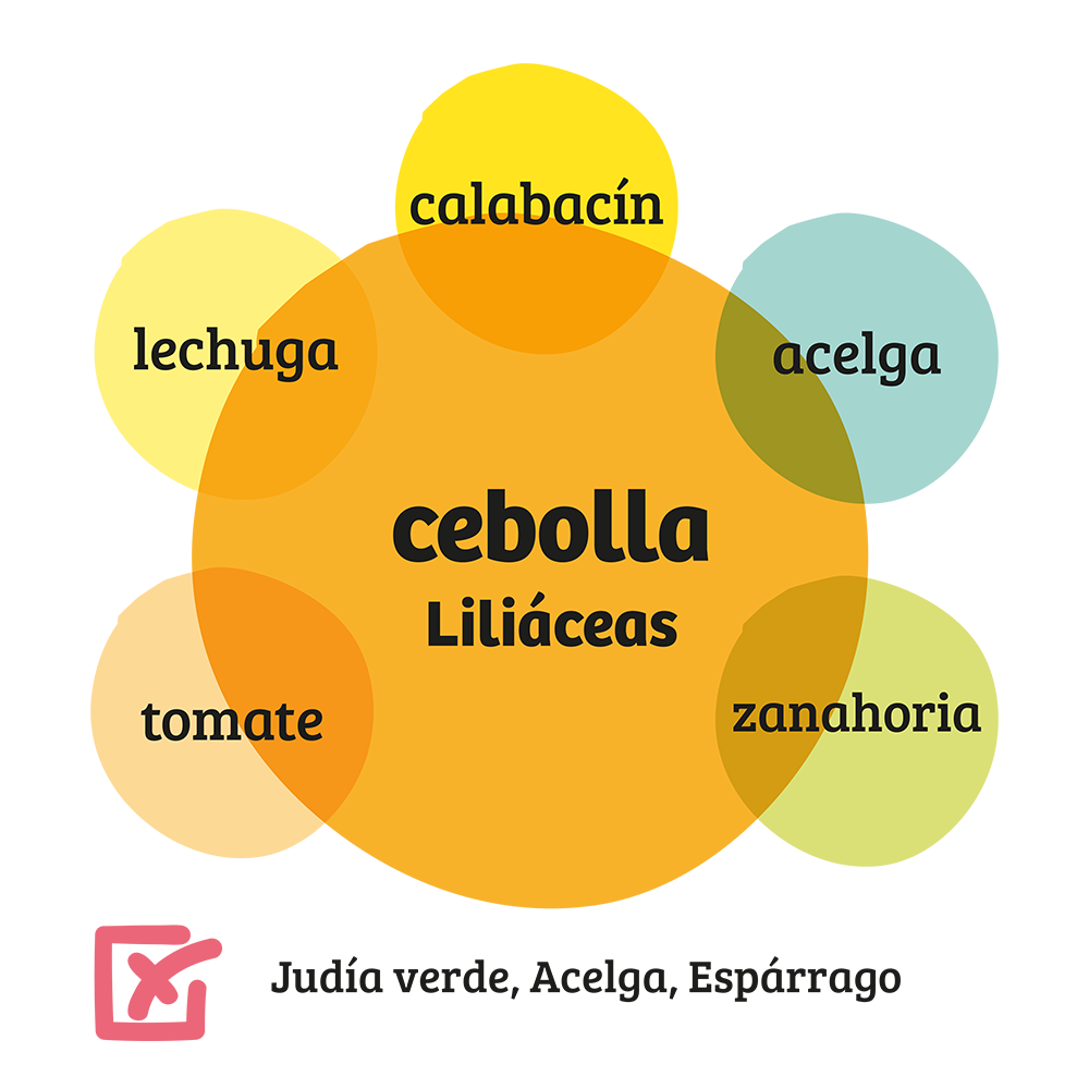 Familia de Liliáceas