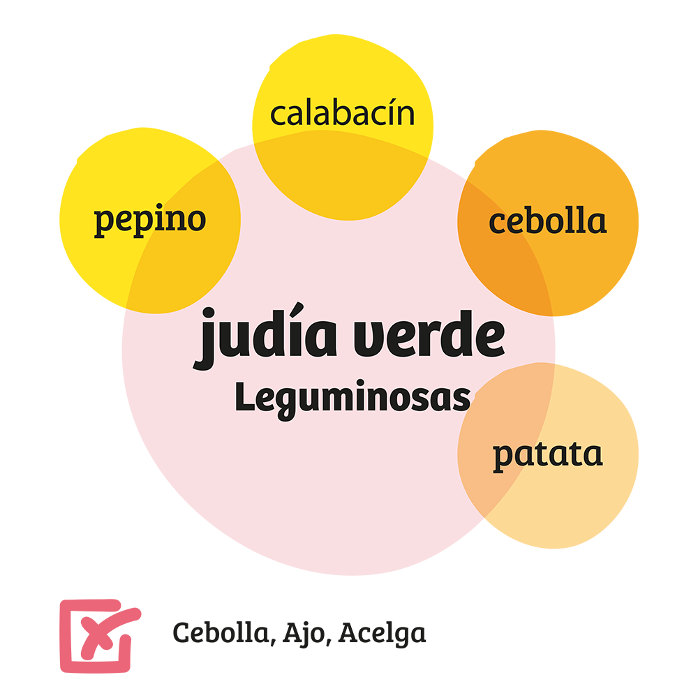 Familia de Leguminosas