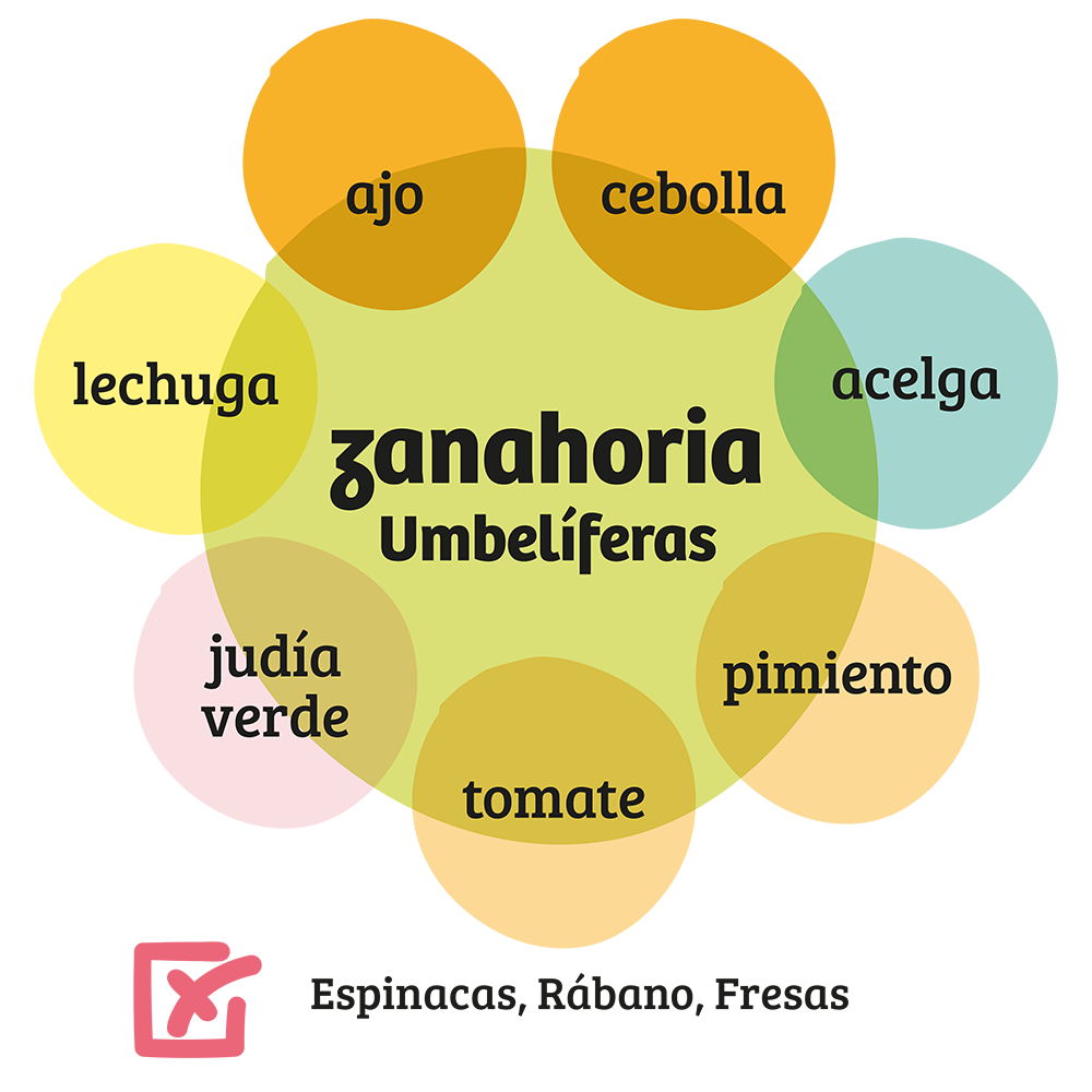 Familia de Umbelíferas
