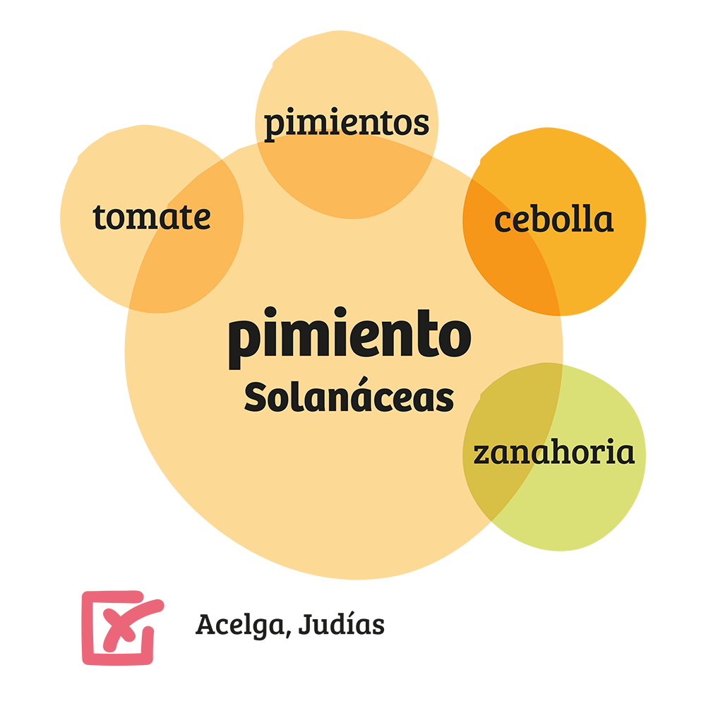 Familia de Solanáceas