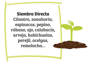 Siembra directa Huertos de Biodiversidad