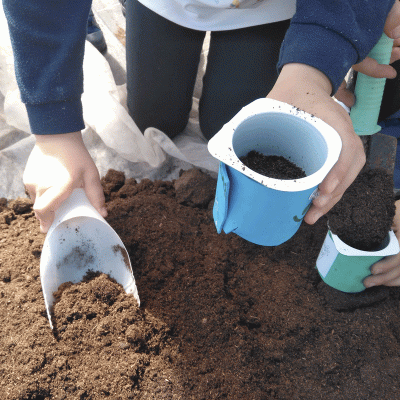 Semilleros embases reciclados
