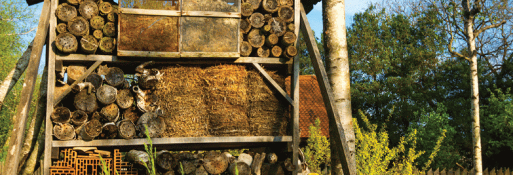 Hotel para insectos huertos de biodiversidad