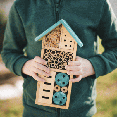 Hotel para insectos huertos de biodiversidad